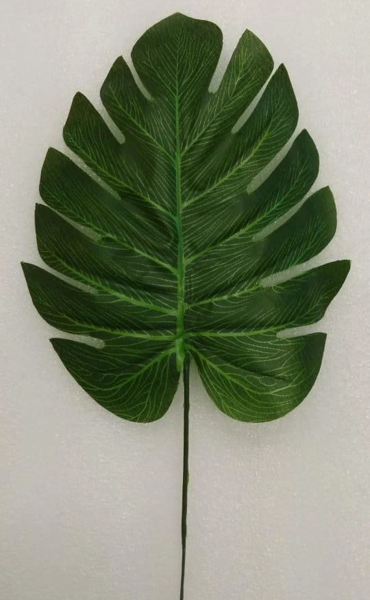 Monstera Leave x1
